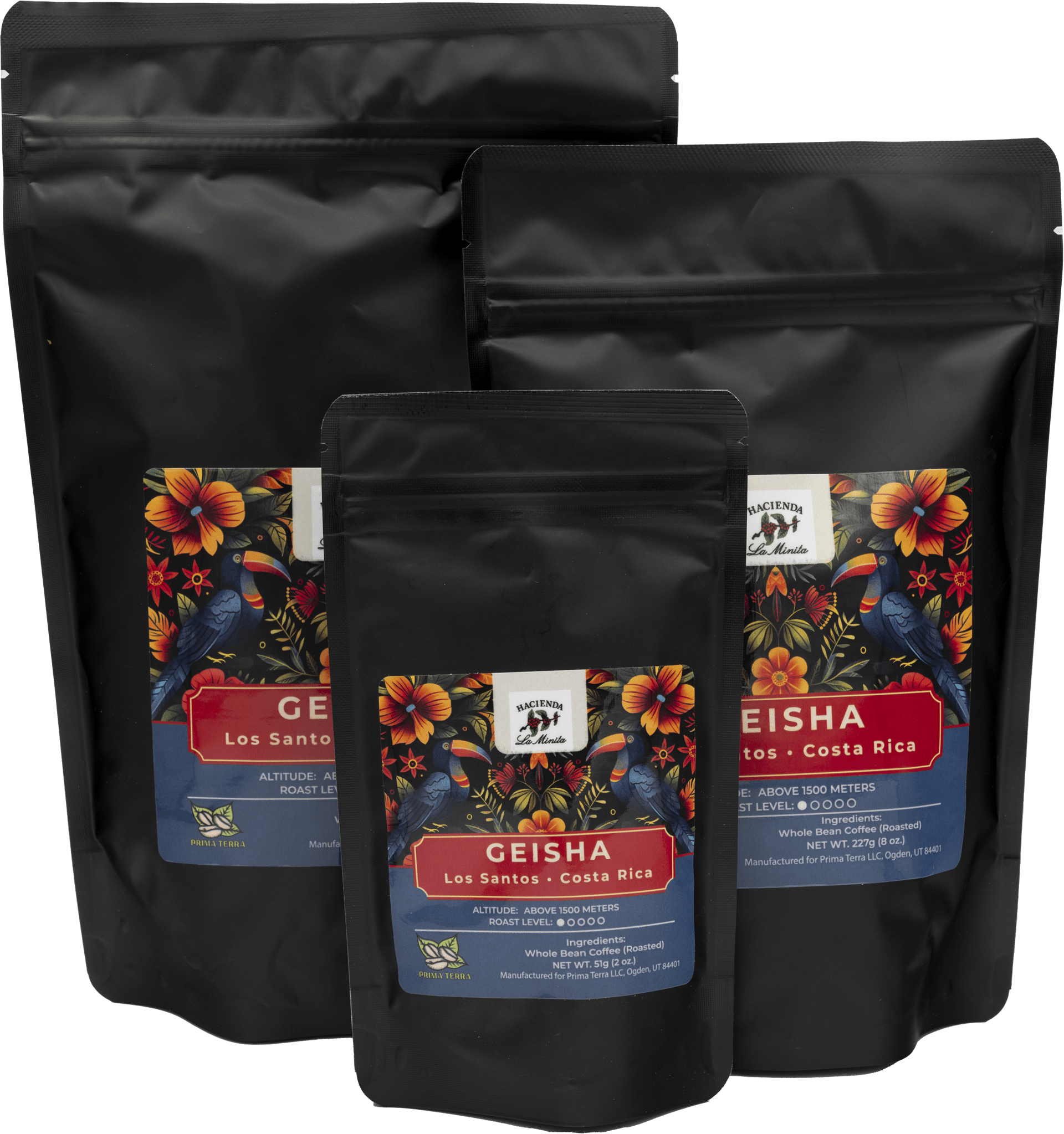 Hacienda La Minita Geisha Coffee - Prima Terra